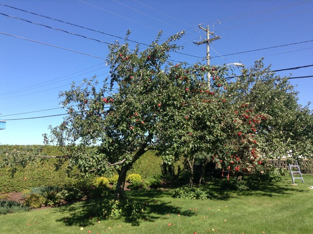 Bed and Breakfast Douces Evasions Saint-Anselme Exterior foto